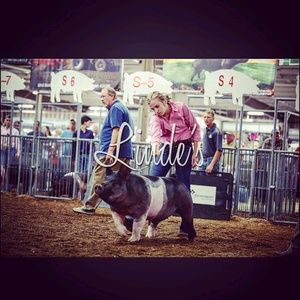 Meet your Posher, Annette